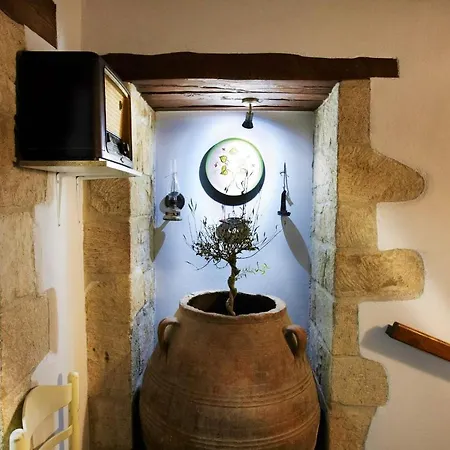 Discrete Archontiki